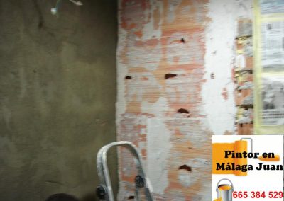 Alicatado baño en Soliva Málaga